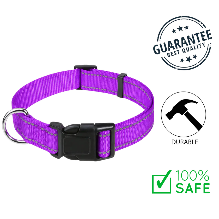 Ashario Pets - Reflective Adjustable Nylon Dog Collar - Small