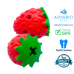 Ashario Pets - Dispenser Toy - Strawberry