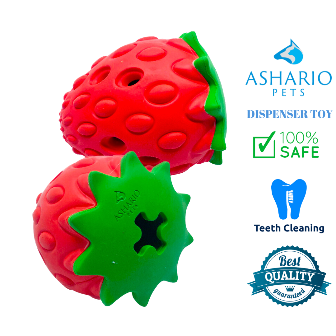 Ashario Pets - Dispenser Toy - Strawberry