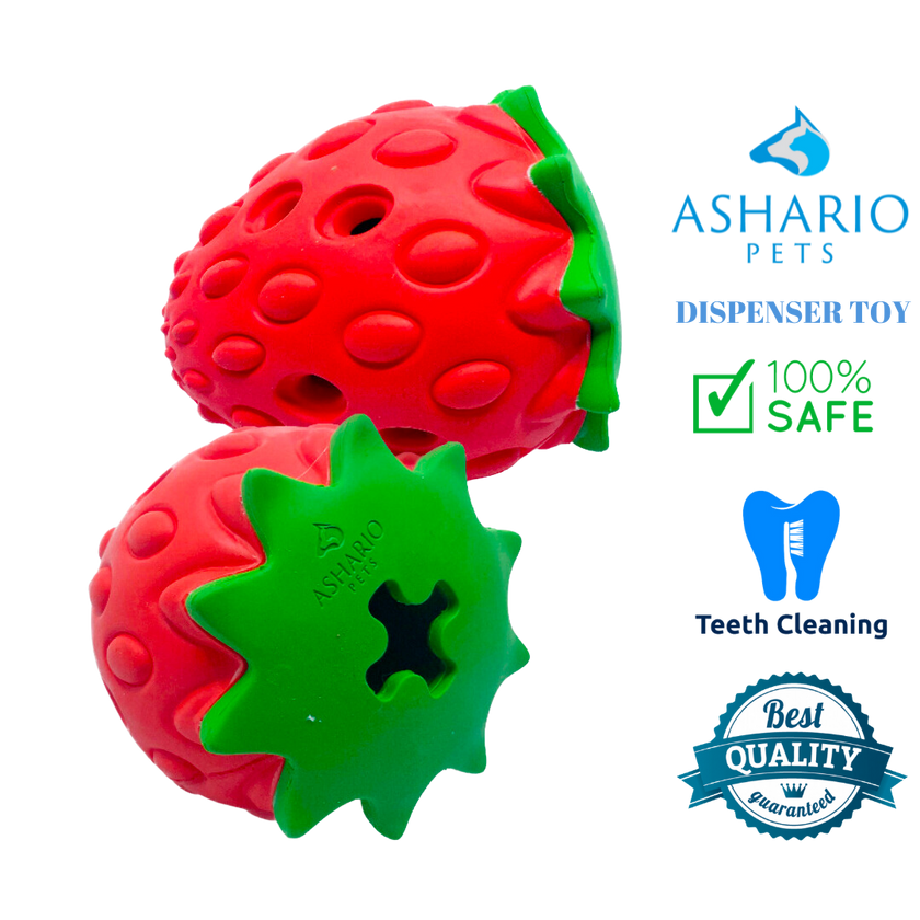Ashario Pets - Dispenser Toy - Strawberry