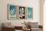 Audubon Bird Prints: Arctic Tern & Hawk - Museum Quality Giclee
