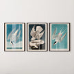 Audubon Bird Prints: Arctic Tern & Hawk - Museum Quality Giclee