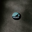 Aulavik National Park of Canada Pinback Button, Canada Parks