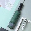 Automatic umbrella