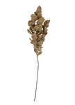 Autumn Leaves Branch – Brown