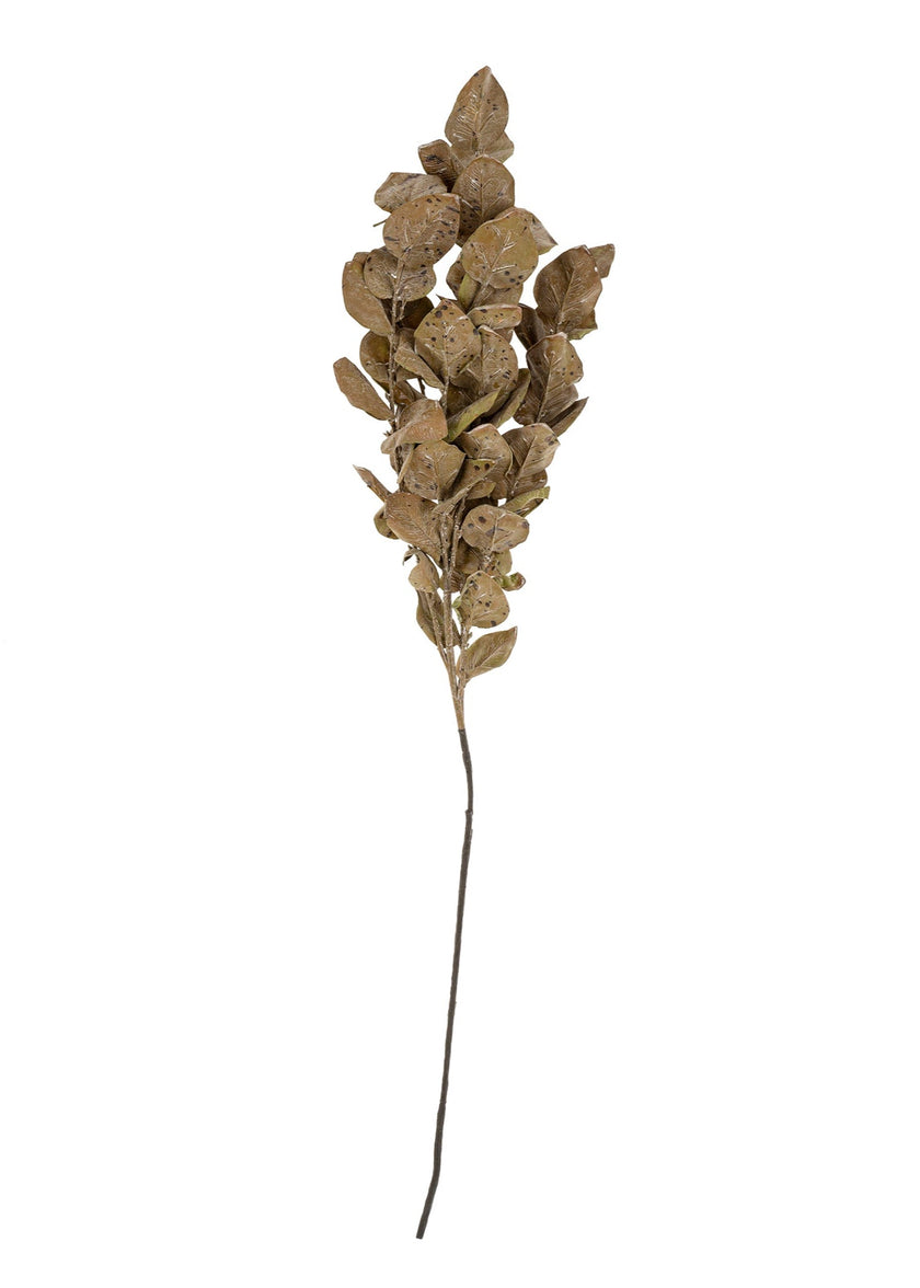 Autumn Leaves Branch – Brown