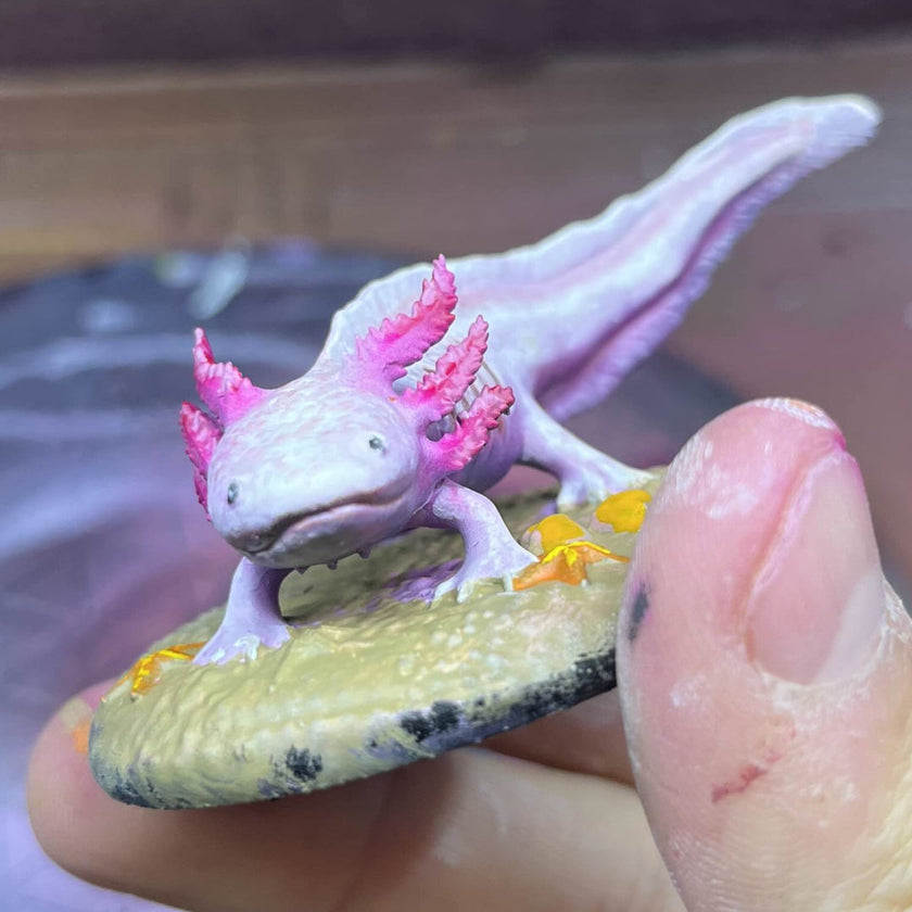Axolotl Familiar