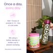 Obvi. Collagen Greens - Strawberry Lychee