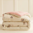 Beanie Velvet Quilt Soybean Fiber Duvet Insert Autumn And Winter