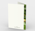 Set of 3 Blank Greeting Cards | 5 x 7 | Purple Iris