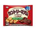 Fujiya Country Ma'am Vanille & Cacao 18 pièces x 16 sachets