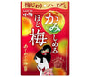 Lotte Tasty Ume Gummy 30g x 10 bags 