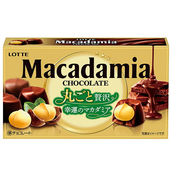 Lotte Roasted Macadamia Nut Chocolate - 9 Pieces x 10 Boxes [Ships from Japan]