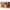 Lotte Western Liquor Fragrant Adult Sweets Rum x Raisin Chocolate 3 Pieces x 10 Pieces 