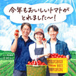 Kagome Jus de Tomate Premium Sans Additif de Sel Boîte de 160g x 30 pièces 