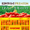Kagome Jus de Tomate Premium Sans Additif de Sel Boîte de 160g x 30 pièces 