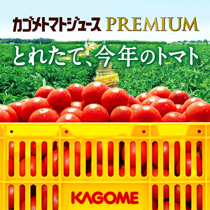 Kagome Jus de Tomate Premium Sans Additif de Sel Boîte de 160g x 30 pièces 