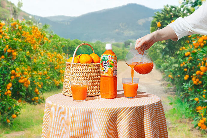 Kagome Yasai Seikatsu 100 Satsuma Mikan Mix 720ml plastic bottle x 15 bottles [shipped in Japan]