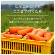 カゴメ にんじんジュース プレミアム 720mlペットボトル×15本入【日本出荷】