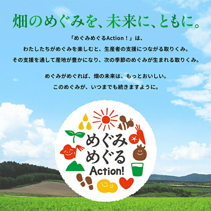 カゴメ 野菜生活100 本日の逸品 宮崎マンゴーミックス 195ml紙パック×24本入【日本出荷】