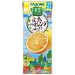 カゴメ 野菜生活100 広島ネーブルオレンジ&はっさくミックス 195ml紙パック×24本入【日本出荷】