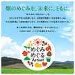 Kagome Yasai Seikatsu 100 Nagano Shine Muscat Mix 195ml paper pack x 24 bottles [shipped in Japan]