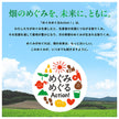 Kagome Vegetable Life 100 Today's Special Hokkaido Raiden Melon Mix 195ml Cartons x 24 [Ships from Japan]
