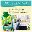 Kagome Vegetable Life 100 Smoothie Shine Muscat & Sicilian Lemon 330ml Carton x 12 [Ships from Japan]