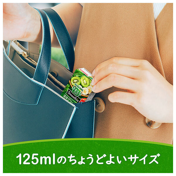 Kagome Yasai Seikatsu 100 Smoothie Rich Green Mix 125ml Carton x 24 [Ships from Japan]