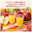 カゴメ 野菜生活100 贅沢仕立ての りんごミックス 720mlペットボトル×15本入【日本出荷】