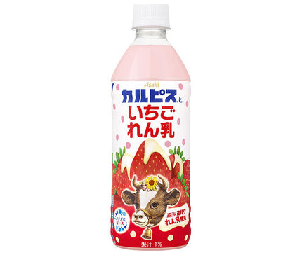 [11/25~ 10% OFF all products!!] Asahi Soft Drinks Calpis and Strawberry Condensed Milk 500ml PET Bottle x 24