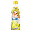 アサヒ飲料 クラフトシロップ すきっとレモン(希釈用) 470mlプラスチックボトル×12本入【日本出荷】