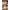 Melodian Marufuku Coffee Shop Supervised Petit Latte Cafe Latte Base Unsweetened (10g x 20P) x 20 bags 
