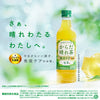 Kirin Namacha Karada Sunnycha 525ml plastic bottle x 24 bottles [shipped in Japan]