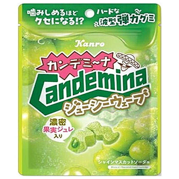 カンロ カンデミーナグミ ジューシーウェーブ 66g×6袋入【日本出荷】