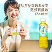 コカコーラ 綾鷹 茶葉のあまみ 525mlペットボトル×24本入【日本出荷】