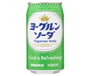 [11/25~ 10% OFF all products!!] Sangaria Yogurt Soda 350g can x 24 cans