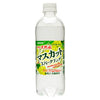 サンガリア 伊賀の天然水 マスカットスパークリング 500mlペットボトル×24本入