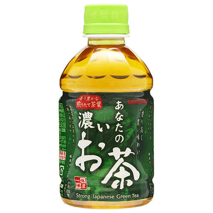 Sangaria Your Strong Tea 280ml plastic bottle x 24 bottles 