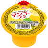 Maruha Nichiro Fruit Fun Mango Pudding 160g x 24 (6 x 4) pieces 