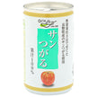 Nagano Kono Shinshu Sun Tsugaru Apple Juice 160g can x 30 pieces [Shipped in Japan]
