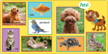 Peter Pauper Press - My First 101 WORDS Board Book