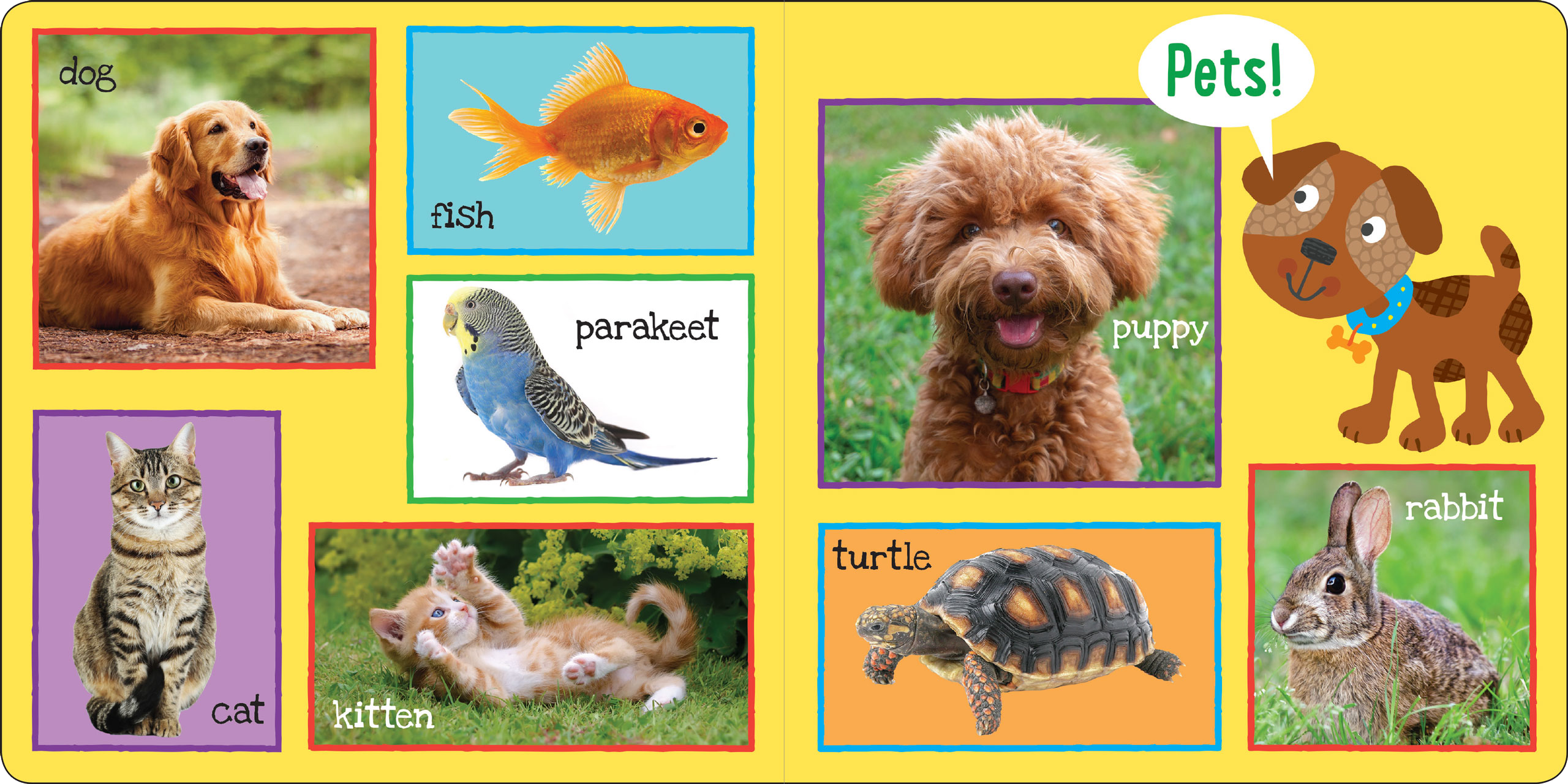 Peter Pauper Press - My First 101 WORDS Board Book