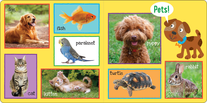 Peter Pauper Press - My First 101 WORDS Board Book