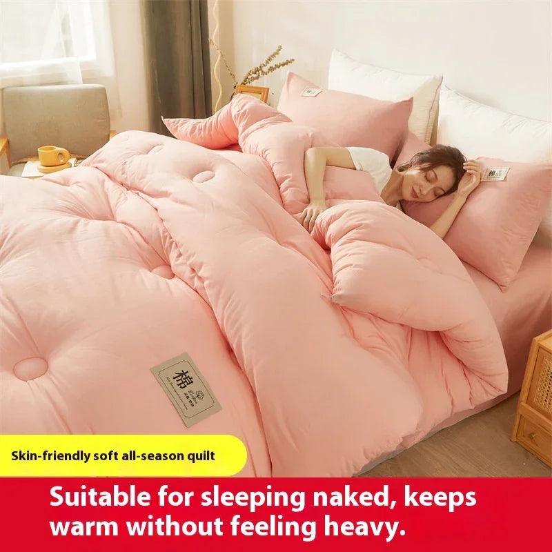 Airable Cover Double Thickened Cotton Duvet Insert