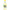 Suntory Natural Mineral Water Marusuri SPARK Unsweetened Lemon 500ml PET Bottle x 24 