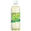 Suntory Muscat Cider [for vending machines] 490ml plastic bottles x 24 bottles [shipped in Japan]