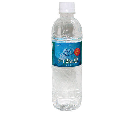 Hokuto Silicon Megumi 525ml plastic bottle x 24 pieces [shipped in Japan]