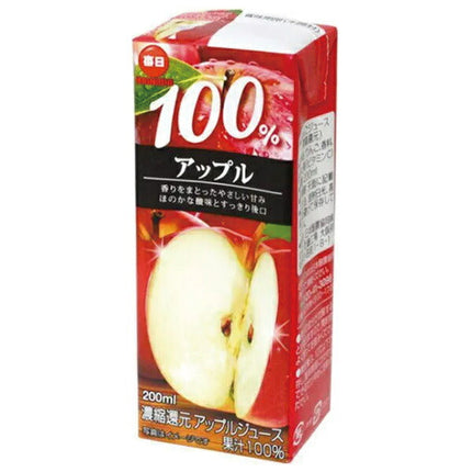 Mainichi Milk Mainichi 100% Apple 200ml paper pack x 24 bottles [shipped in Japan]