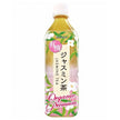 Kaito Brothers Kaito Premium Thé au jasmin biologique Bouteilles PET de 500 ml x 24 pièces 